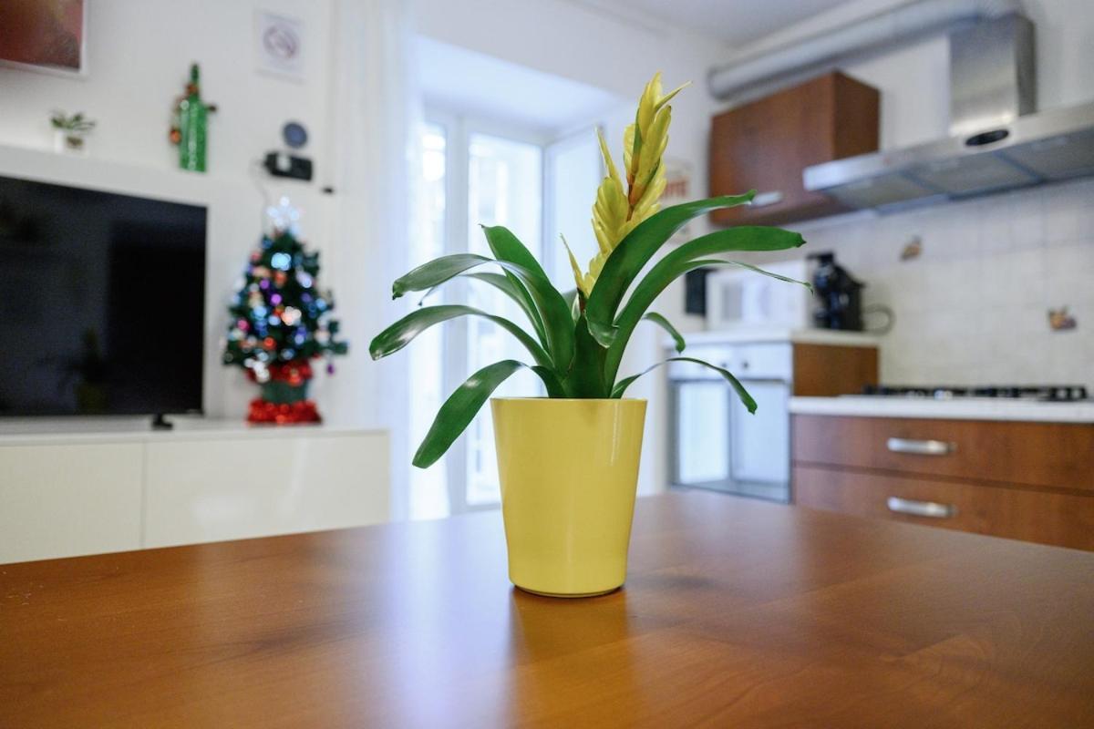 Zizi House Apartamento Roma